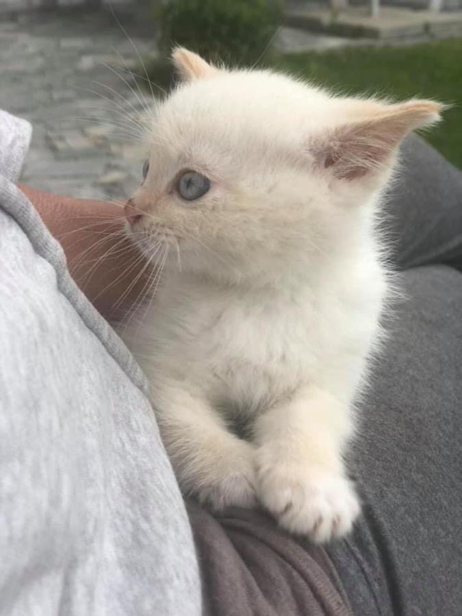 Penzion A Hospoda Na Statku Hluboká nad Vltavou المظهر الخارجي الصورة